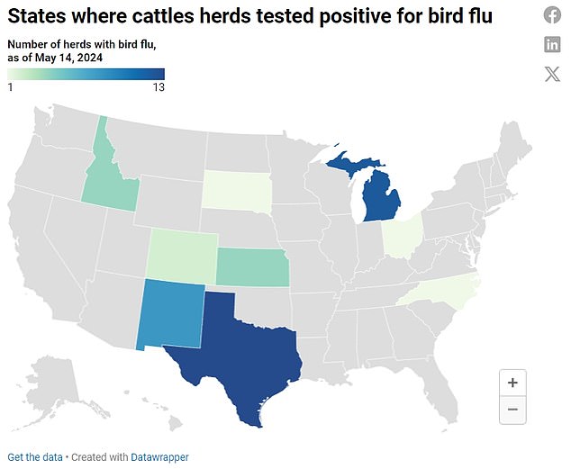 The map above shows the number of flocks reporting bird flu infections by state