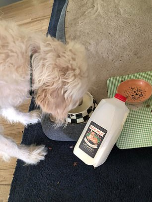 People have also posted photos of themselves feeding their animals raw milk