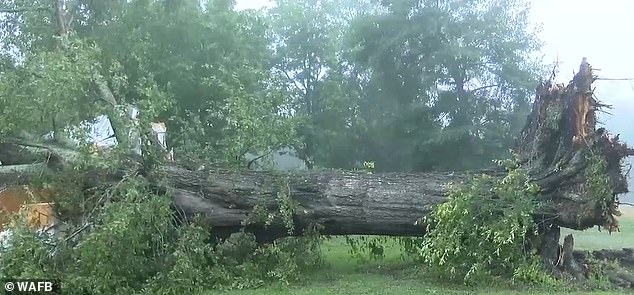 WAFB reported that a wind gust of 60 miles per hour was recorded at a nearby community center at the time.