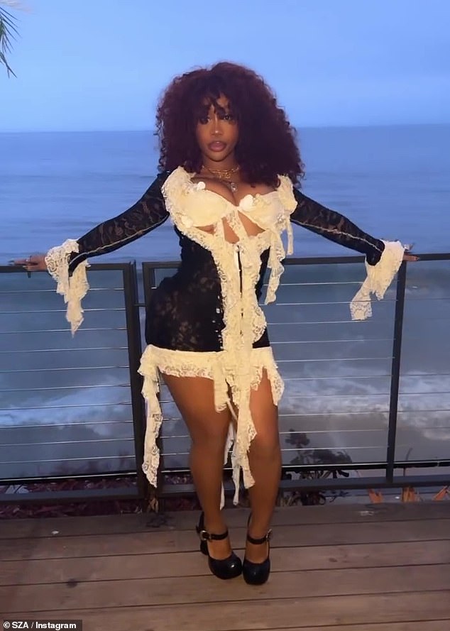 SZA took to Instagram to share her sexy look with her 20.8 million followers