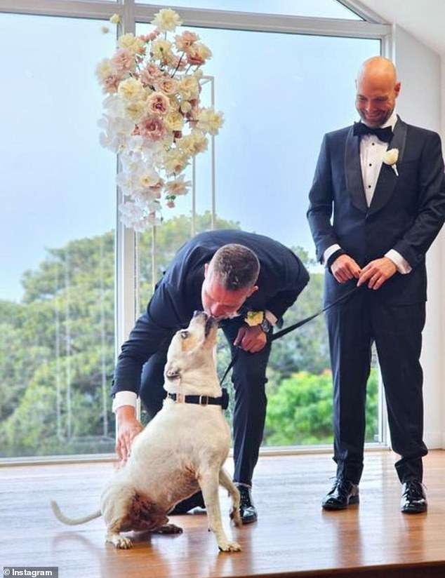They were joined by their beloved dog Kuda for their Gold Coast wedding, who played an extra special role on the day as he walked down the aisle to stand next to Jake.