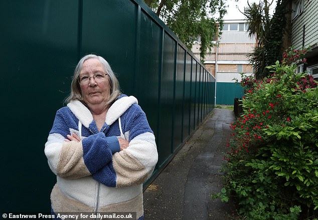 Jenny Groves, 74, (pictured) says she has to deal with constant noise and disruption from construction work