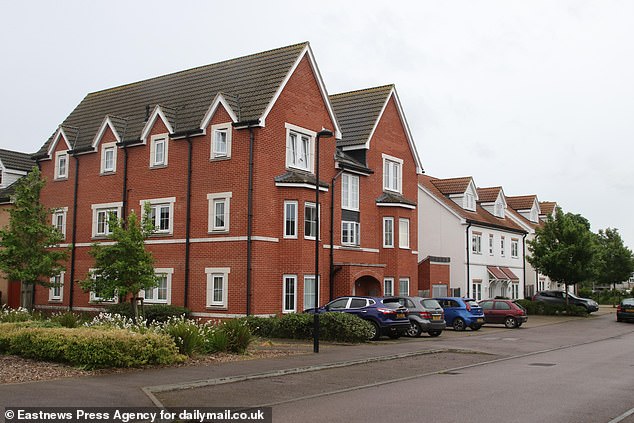 New-build homes that are part of the regeneration programme