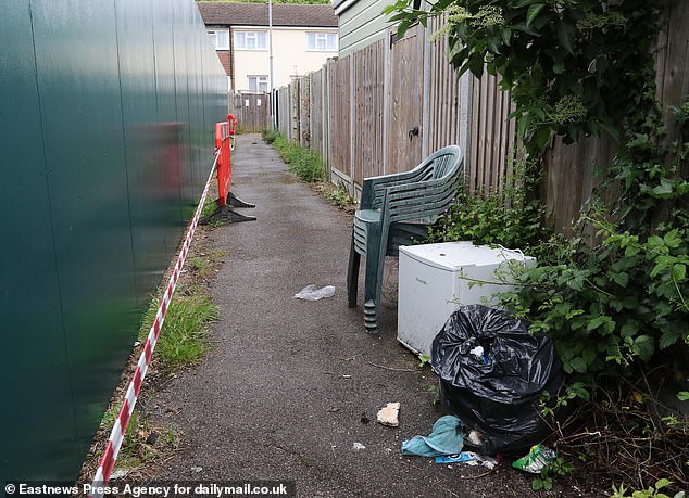 In the photo: waste dumped in an alley next to the project