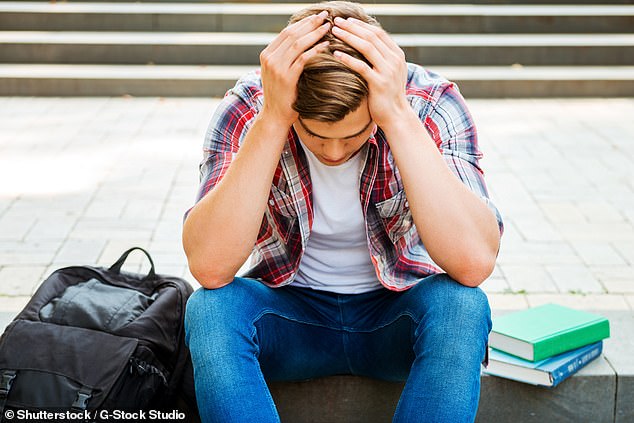 The Queensland Civil and Administrative Tribunal heard the teacher exchanged more than 1,200 emails with her student over a six-week period (stock image)