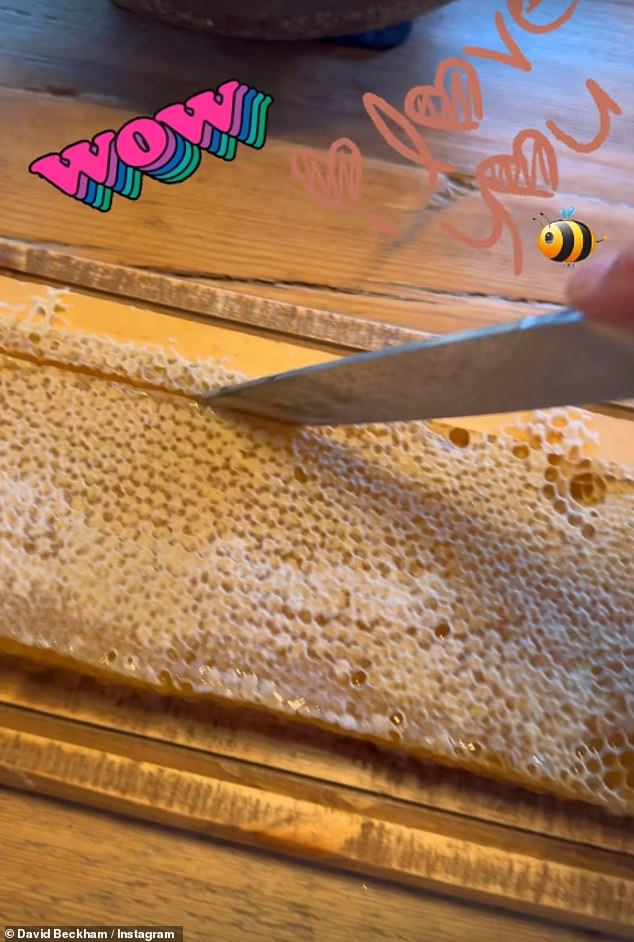 David first started making his own honey during lockdown in 2020, with reports that he was ready to turn his hobby into a business by launching honey under possible names 'D Bee, Seven Honey and Goldenbees'
