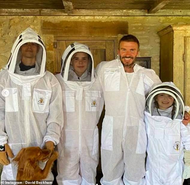 David first started making his own honey during lockdown (pictured with his children Romeo, Cruz and Harper in hazmat suits in June)