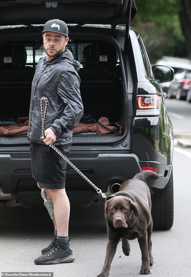 The former couple reportedly agreed to take turns caring for Hurley (Ant is pictured with the dog in 2017)