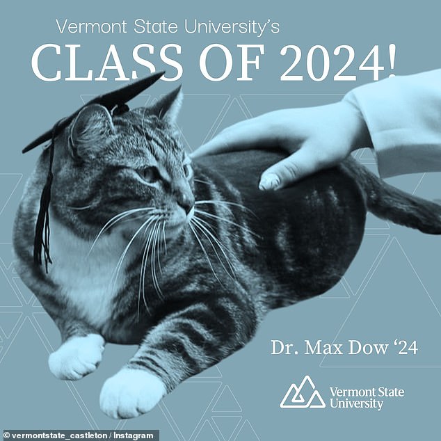 Cute Cat Called Max Is Awarded Honorary Doctorate From Vermont ...