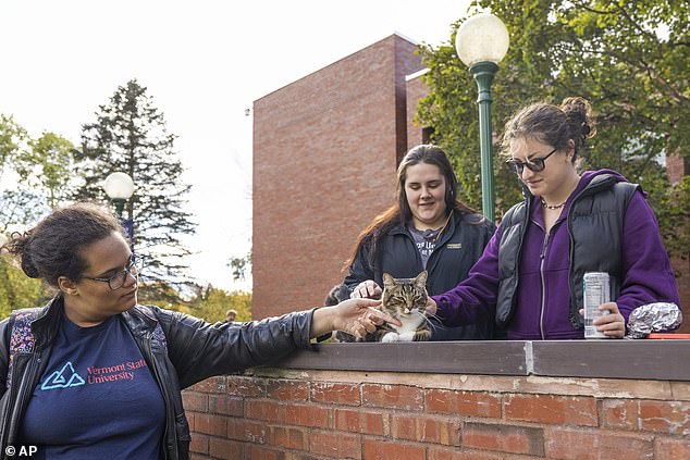 Max's owner Ashley Dow said the students are always excited to see Max on campus.  They take selfies with him, pet him as he purrs, and even participate in campus tours with prospective students when they are in the building across from the family's home.