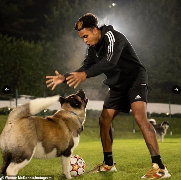 McKennie has previously posted several photos of his dogs on social media