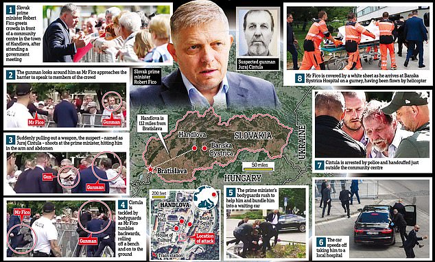 Image depicting the events following the shooting of Slovak Prime Minister Robert Fico