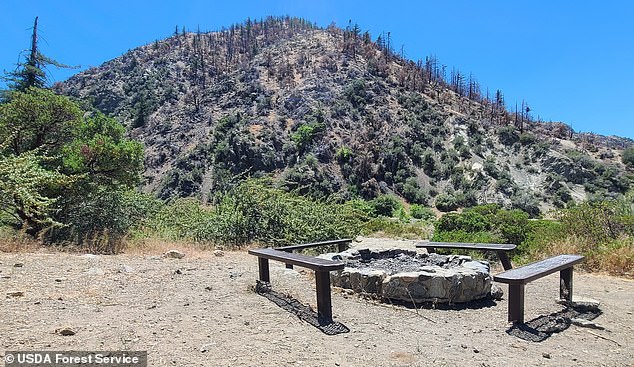 The repeated attacks occurred in a remote area near Angeles National Forest, California