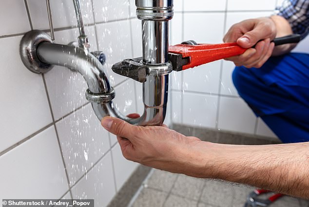 The expert, who said he had floated the idea of ​​a universal basic income to Downing Street, warned that many blue-collar and 'middle intellectual jobs' will disappear as a result of AI, but predicted that plumbing could be safe from the rise of the robots (stock photo)