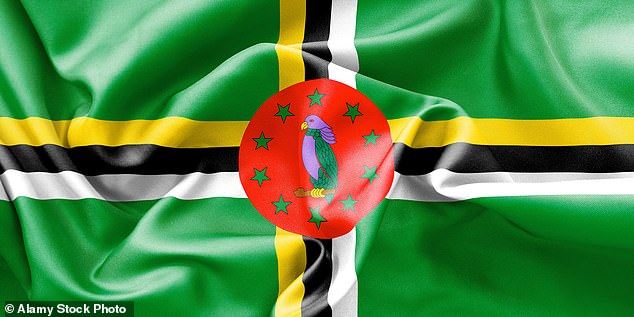 Dominica is one of only two flags to use purple, as most countries feature the national bird: the purple Sisserou parrot