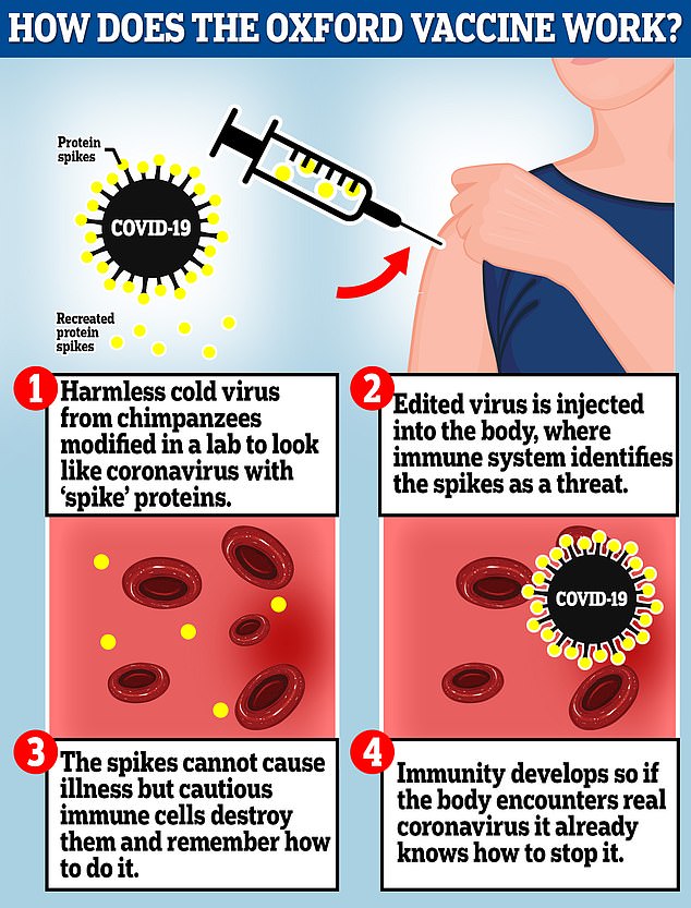 The AstraZeneca vaccine is a genetically engineered cold virus that used to infect chimpanzees.  It has been modified to make it weak so it doesn't cause disease in humans, and it is packed with the gene for the coronavirus spike protein, which Covid-19 uses to enter human cells.