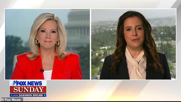 Moderator Shannon Bream presses Rep. Elise Stefanik on her past stance on Donald Trump during a heated interview on Fox News Sunday