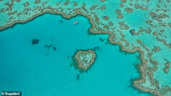 Hamilton Island is a popular tourist spot thanks to its proximity to the Great Barrier Reef.