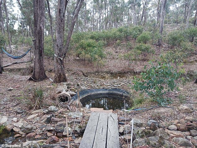 However, the pair were ordered to destroy a small pond that Mr Muller had created on the property because there was no safety barrier around it (pictured).