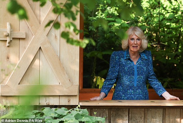 Camilla chose a blue dress with a peacock print for the occasion