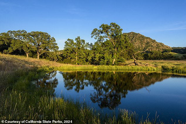 The county Board of Supervisors managed to keep the area completely private until 2003, when 1,785 acres went on the market and was snapped up by the state.