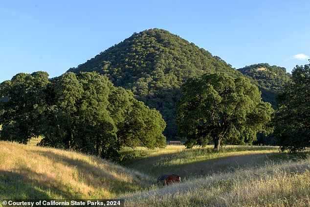 But only sheep and cattle have routine access to the spectacular landscape