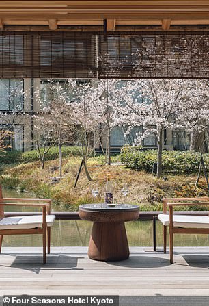 Seasonal cherry blossoms seen from the teahouse