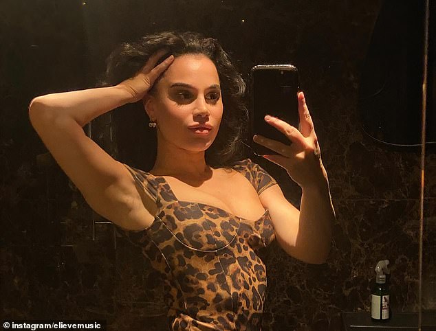 After Matthew and Camila split, Matthew's ex-girlfriend - Dutch singer Elieve (pictured) - claimed that Matthew was dating her and Camila at the same time, although this has not been confirmed