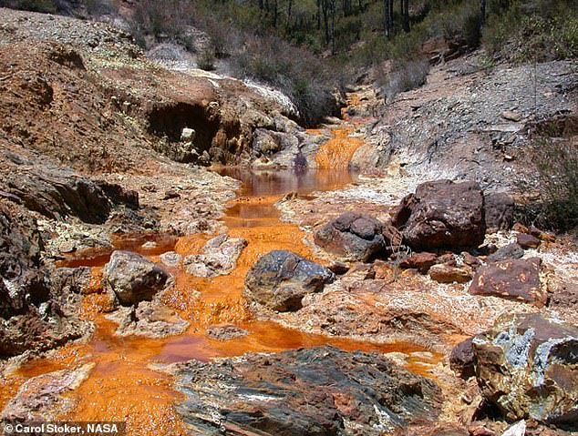 Dr.  Lyons told DailyMail.com that the acidification of these Alaskan rivers resembles a known pollution problem that occurs in rivers near mining projects.  Above is a NASA image of this 'acid mine drainage' causing environmental damage to a river in the Rio Tinto, Spain.