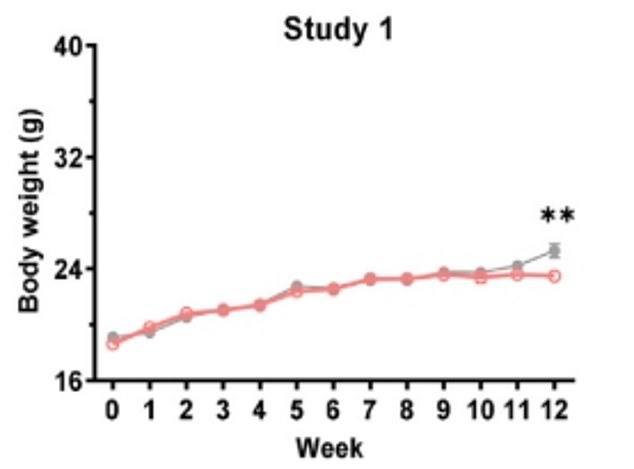 The above graph shows changes in body weight in mice fed a normal diet.  The red line represents the mice that were exposed to UV light, while the gray light represents mice that were not.  Body weight was lower among those exposed to UV light