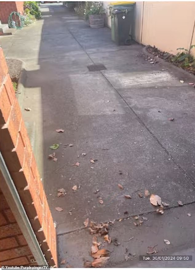 Leaves in the driveway (pictured) were listed as one of twelve 'areas of concern' in the initial email sent to Mr Farmer's sister detailing the condition of the property