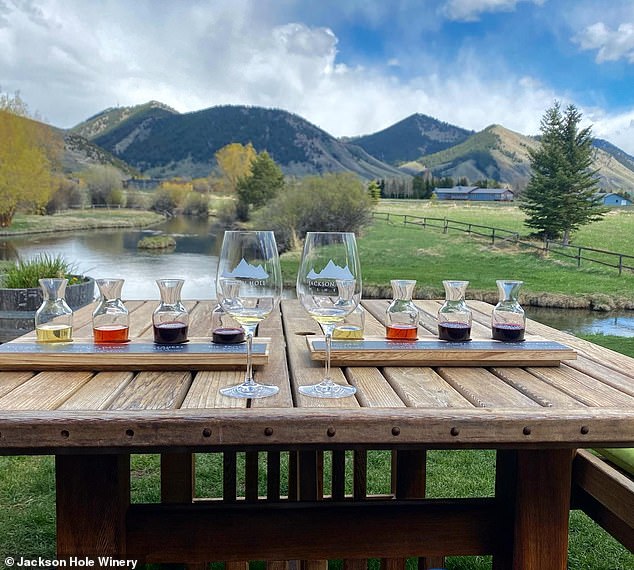 The Jackson Hole Winery, a popular spot in the rolling hills of Wyoming that reportedly brings in $2 million a year, has been restricted to selling only wines in Teton County after its neighbors complained