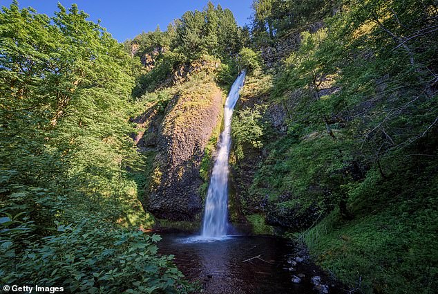 Search and rescue crews determined that Marcias fell 50 to 60 feet from a cliff west of the Horsetail Falls Trailhead (photo: the 'Waterfall Corridor')