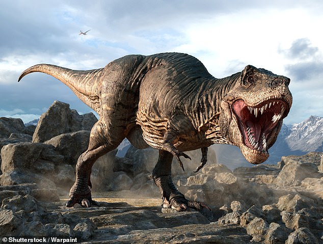 A common feature of abelisaurid dinosaurs, such as Koleken inakayali or Tyrannosaurus rex (artist's impression), are their short arms