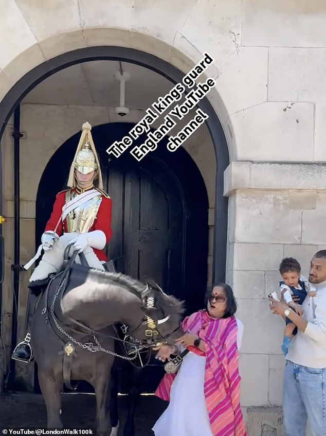 The horse turns its head around before clinging to the woman's sari