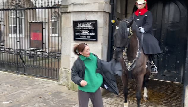 The tourist is seen trying to get away from the horse after it clung to her coat, but to no avail