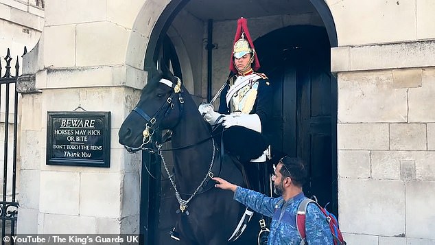 In another video, a man was seen touching the reins of one of the horses