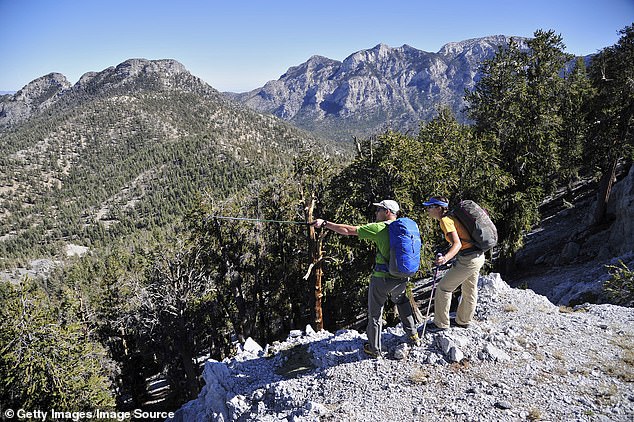 Climbers take stock of the incredible views atop a mountaintop in Vegas