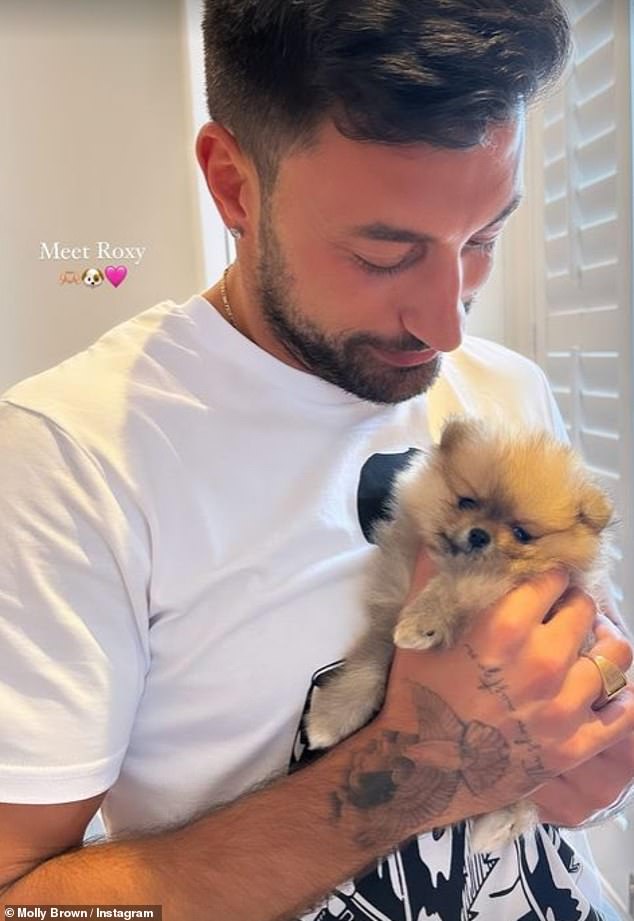 The sighting comes hours after Molly unveiled her new pup on her Instagram page on Wednesday night, suggesting they had other things on their minds than the looming investigation into Giovanni's behavior.