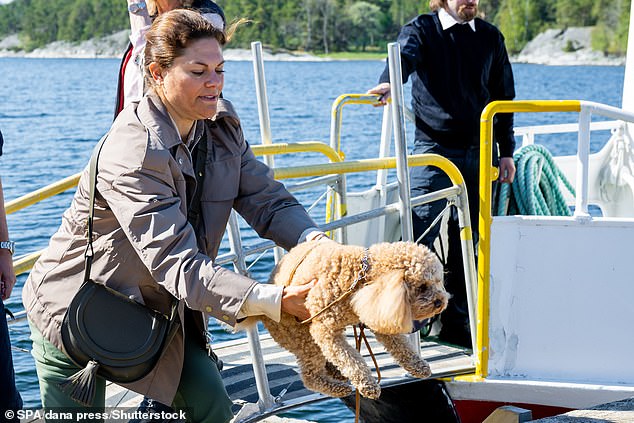 Victoria, mother of two, picked Rio up and helped him from the ferry to dry land
