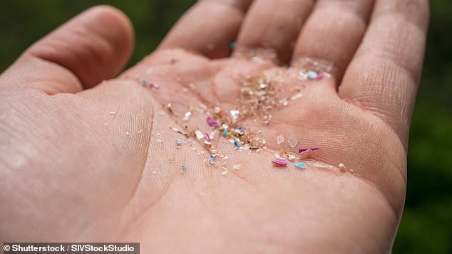 Overall, the study found that Malaysians eat around 15 grams of microplastics per month – more than any other country – with the majority of plastic particles coming from aquatic sources such as seafood (stock image)