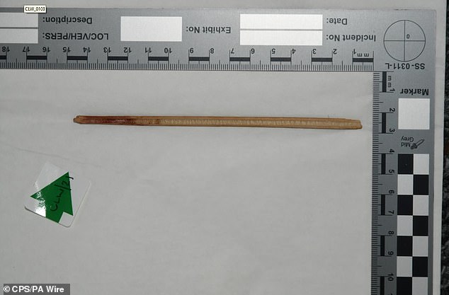 Robinson told her trial that she used the bamboo stick (pictured) to hit Dwelaniyah because he was messing with his food