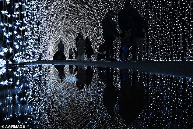 As part of the festivities, people walk through the Cathedral Of Light installation