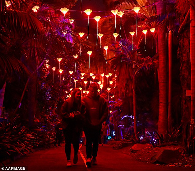 People walk past light installations at the Royal Botanic Garden Sydney as part of 2024 Vivid