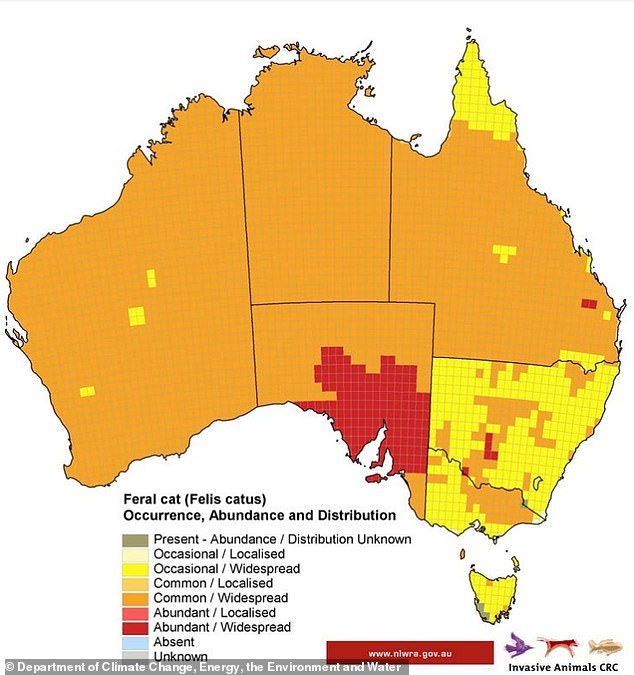 This map shows the distribution of millions of feral cats across Australia.  They are more common in the outback and are abundant in parts of South Africa