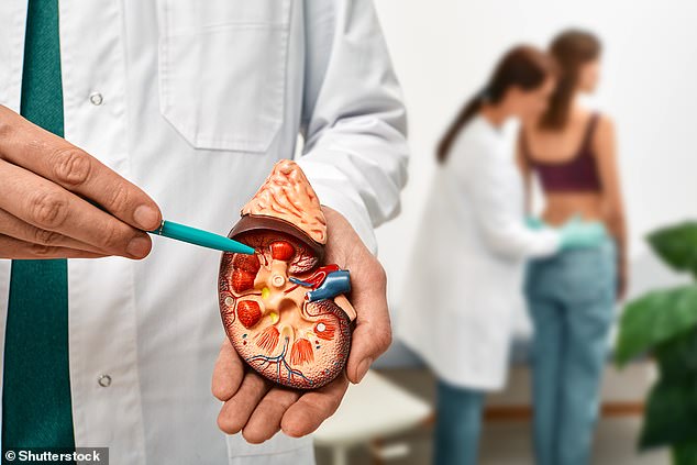 The new study, presented yesterday at the European Renal Association Congress, modeled the impact of using a urine and a blood test to monitor newly diagnosed diabetes and high blood pressure patients for signs of kidney disease (stock image)
