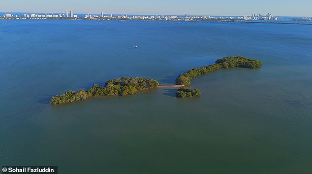 Bird Key is located just 1,500 feet offshore, south of the 79th Street Causeway, according to the listing.  It covers a total of 37 hectares, with approximately four hectares of land surrounded by approximately 33 hectares of 'land submerged in sparkling blue water'