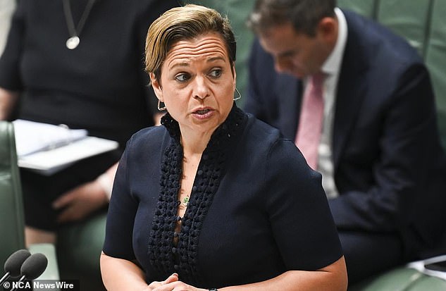 Communications Minister Michelle Rowland (pictured) said she would be open to introducing age restrictions on social media if laws being introduced in Florida in the US were successful