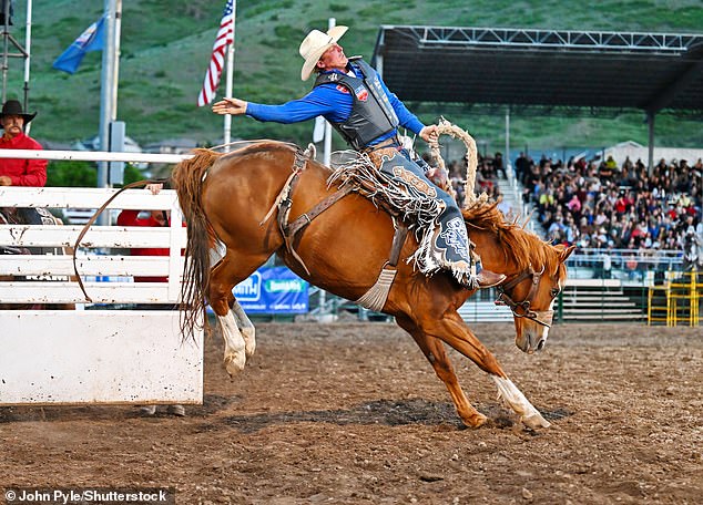 Spencer Wright's (pictured) family is among the most prominent in rodeo history, ranking him 35th in the world