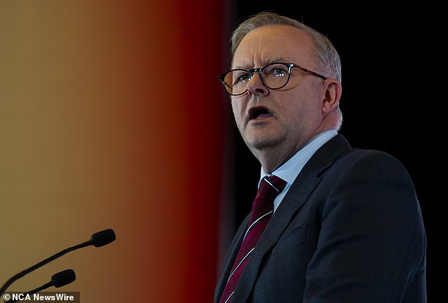 Anthony Albanese (pictured) continues to support his immigration minister, but for how long?